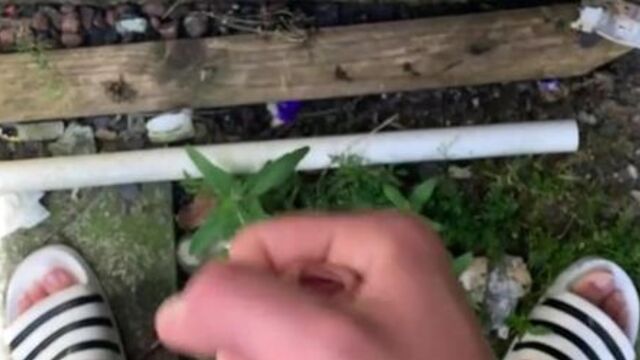 British teen boy jerks off and cums outside on the wall (OUTDOOR CUM)