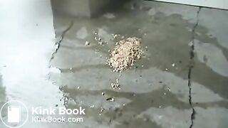 Bulimia Vomit and Food Poisoning - puking outside mp4