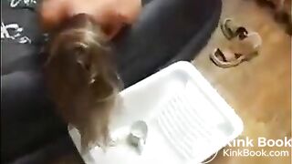 vomiting after blowjob