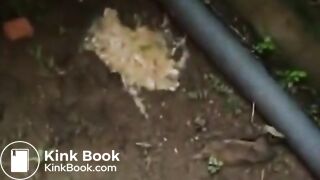 Le Borracha De Paso Real Vomitando