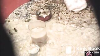 insane rapid projectile vomit