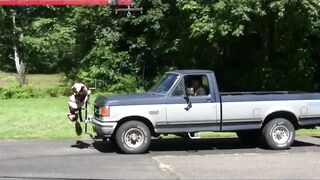 tied upside down with open legs & mechanic Fucked