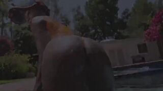 compilation of hot ebonyteens fucked blowjobs big cock compilation femdom