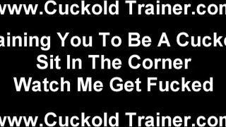 Cuckold Femdom And Hardcore Husband Humiliation Videos