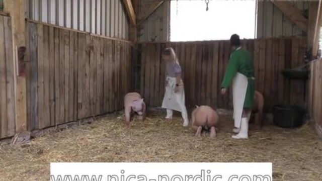 little insight to my Pigplay