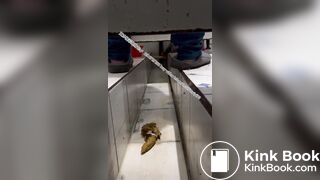 Beautiful women pooping in the toilet 54