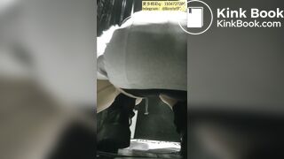 Beautiful women pooping in the toilet 75