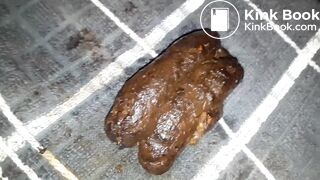 3.3 Je défèque, masturbations, jeux scato, pets et éjaculations