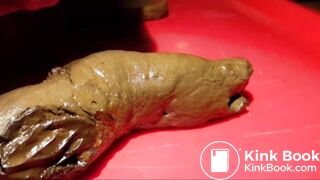 Décharge fécale, dégustation, inspiration, masturbation et éjaculation scato