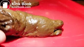 Décharge fécale, dégustation, inspiration, masturbation et éjaculation scato