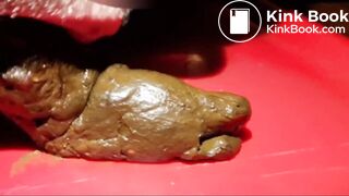 Décharge fécale, dégustation, inspiration, masturbation et éjaculation scato