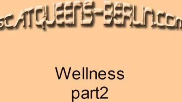 wellness_part2