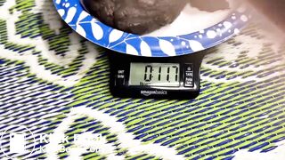 PulsiferPaprocki rock solid log