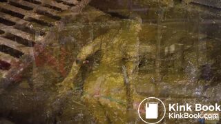 Brooke Maddison Dung Erotica 2 - orgasm in cowshit