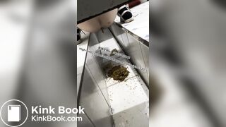 Beautiful girl poops in the toilet 8