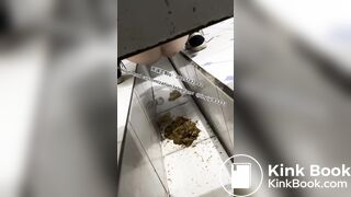 Beautiful girl poops in the toilet 8