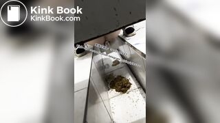 Beautiful girl poops in the toilet 8