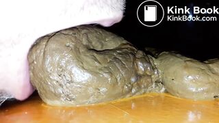 Vidange fécale consistante, dégustation étalage intégral, éjaculation scato