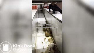 Beautiful girl poops in the toilet 10