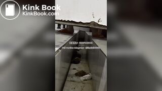 Beautiful girl poops in the toilet 10