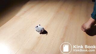 very bitch nylon asian feet