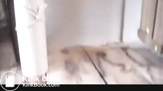 194824_2.mp4
