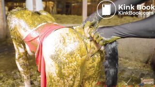 Brooke Maddison And Her Anal Manure Master