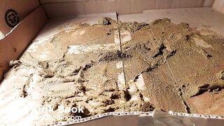 asian acid her shitty pantyhose