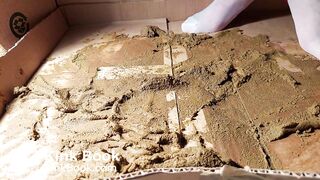 asian acid her shitty pantyhose