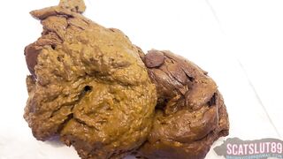 This is How a Fat Girl Shits