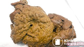 This is How a Fat Girl Shits