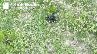 Scat Collecting with Crystal