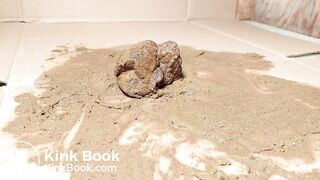 mad asian in pantyhose dog crushing