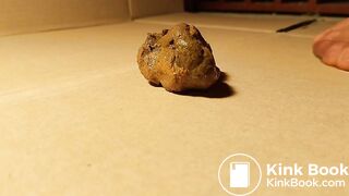 Asian brown Pantyhose Bitch 1