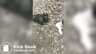 Girl Barefoot in Horse Shit