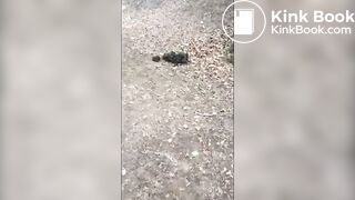 Girl Barefoot in Horse Shit