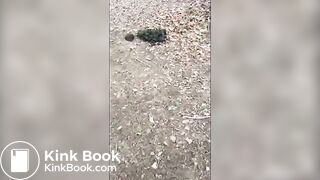 Girl Barefoot in Horse Shit