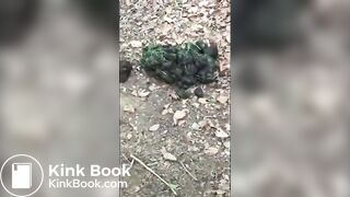 Girl Barefoot in Horse Shit