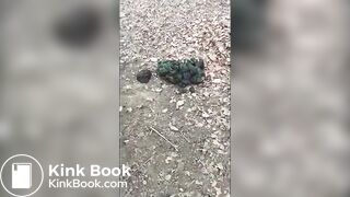 Girl Barefoot in Horse Shit