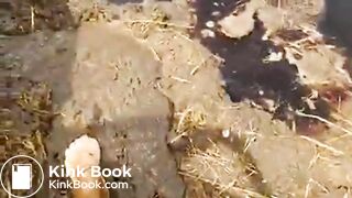 Girl Feet Sinks in Manure Sludge