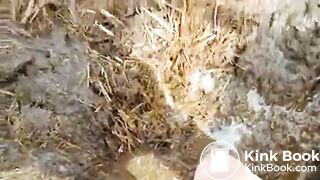 Girl Feet Sinks in Manure Sludge
