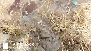 Girl Feet Sinks in Manure Sludge