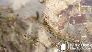 Girl Feet Sinks in Manure Sludge