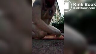 playing with shit outdoors