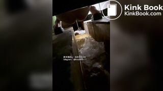 Beautiful women pooping in the toilet 74