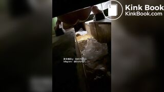 Beautiful women pooping in the toilet 74