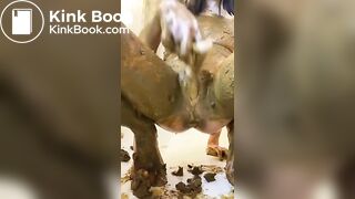 My favorite scatslut