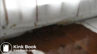 scatdaddy sucht Klo-Baby für dreckige WC-Beziehun