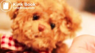 ++ Satanic Sissies Pt. 5 - A Scat Baptism