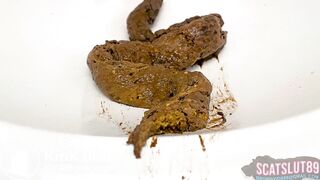 Quietly Shitting in the Sink Before Roommate Wakes